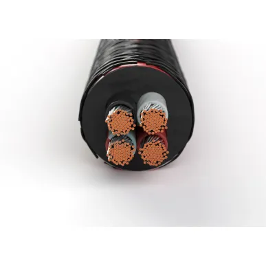 Акустический кабель DALI CONNECT SC RM430ST 3,0 mm2